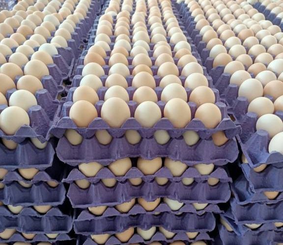 Dkfon ClassifiedFresh Eggs 30 Pcs Packs $3.5