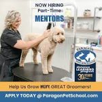 Paragon School of Pet Grooming: Paragon Pet School, DKFON