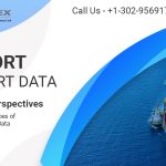 Popular Indian Trade Shipment Data Providers, DKFON
