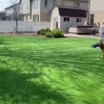 Pets artificial grass, DKFON