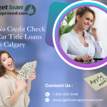 Bad Credit? No Problem! Apply for Car Title Loans in Calgary, DKFON