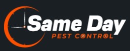 Comprehensive Moth Control Brisbane – Professional Treatment, Removal, and Moth Control Services, DKFON