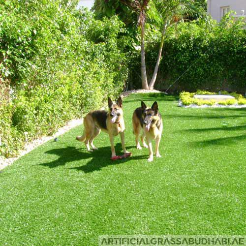 Buy Best Pets artificial grass is a practical, DKFON