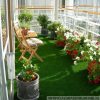 Buy Best sports performance with our Sports Artificial Grass, DKFON